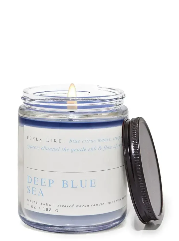 nen thom bath body works single wick candle deep blue sea 198g Desiree Becker